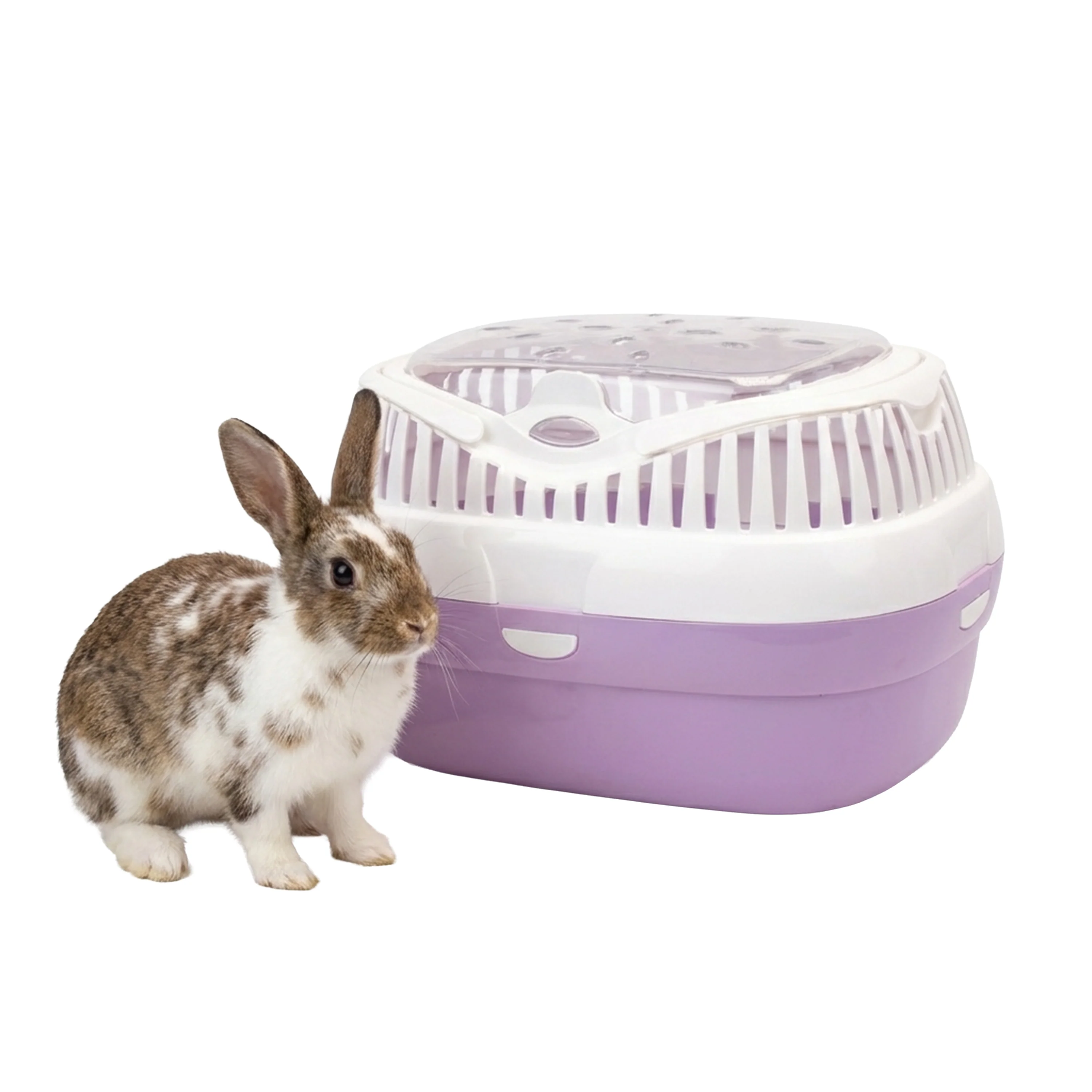 Image du produit 11