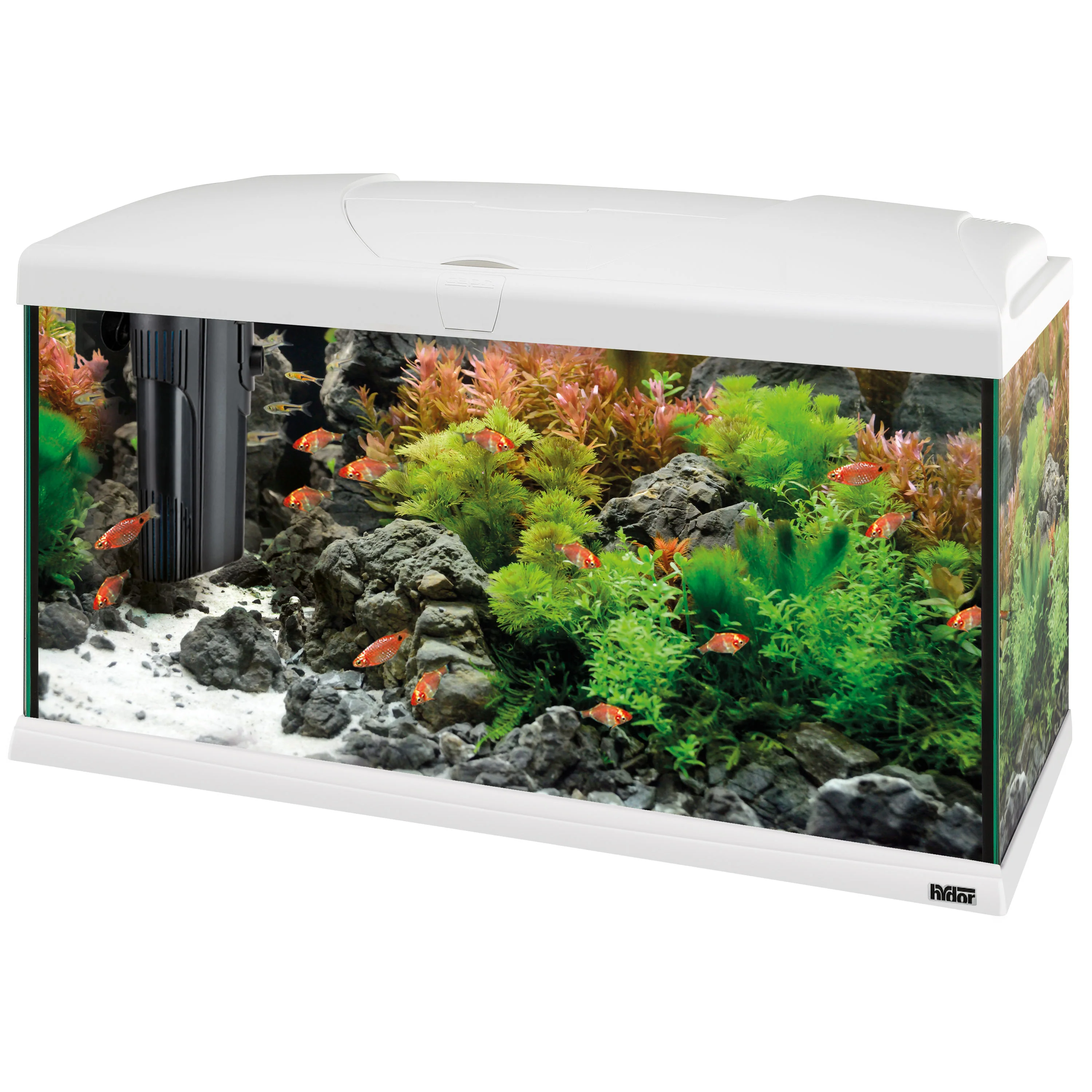 Miniature 1