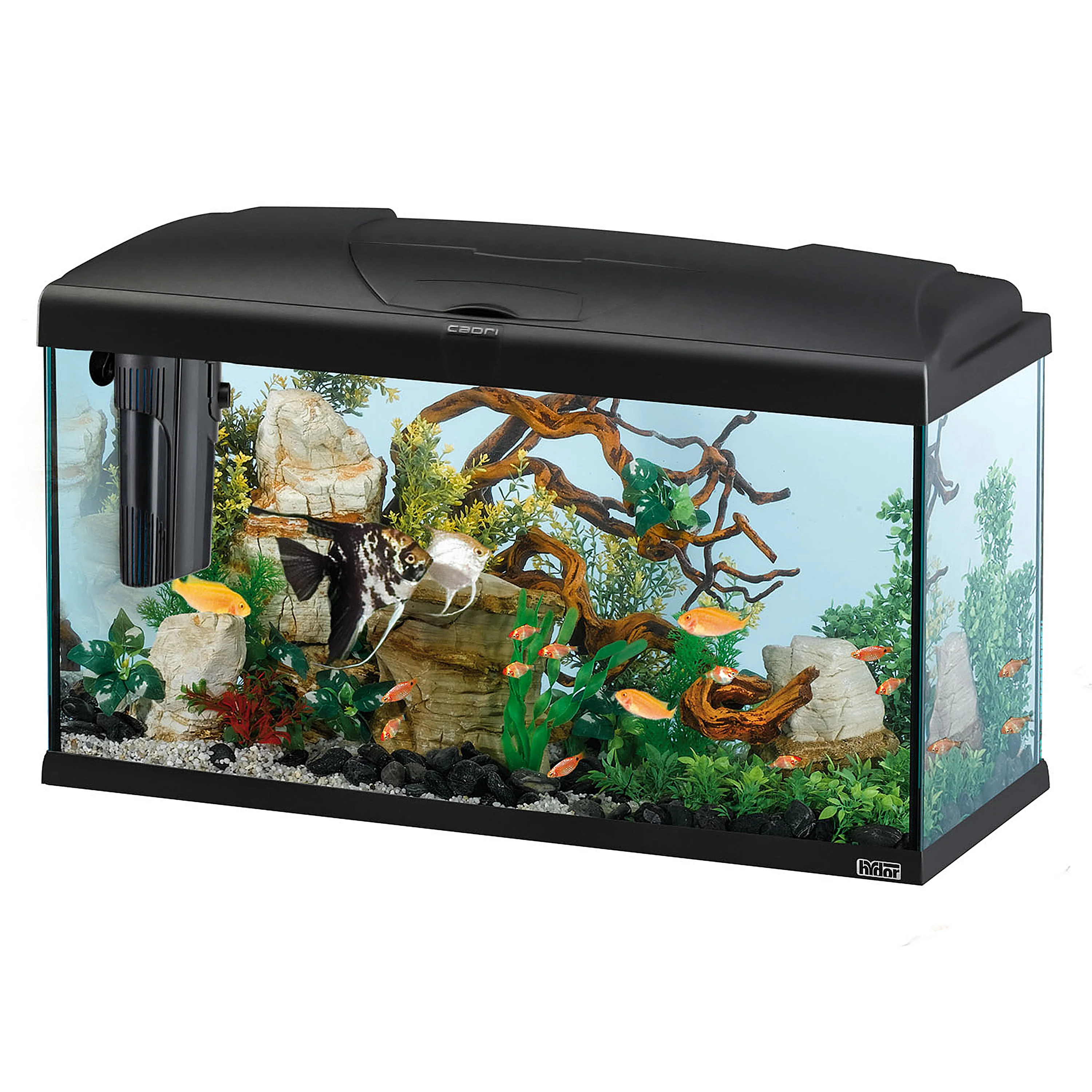 Image du produit 9