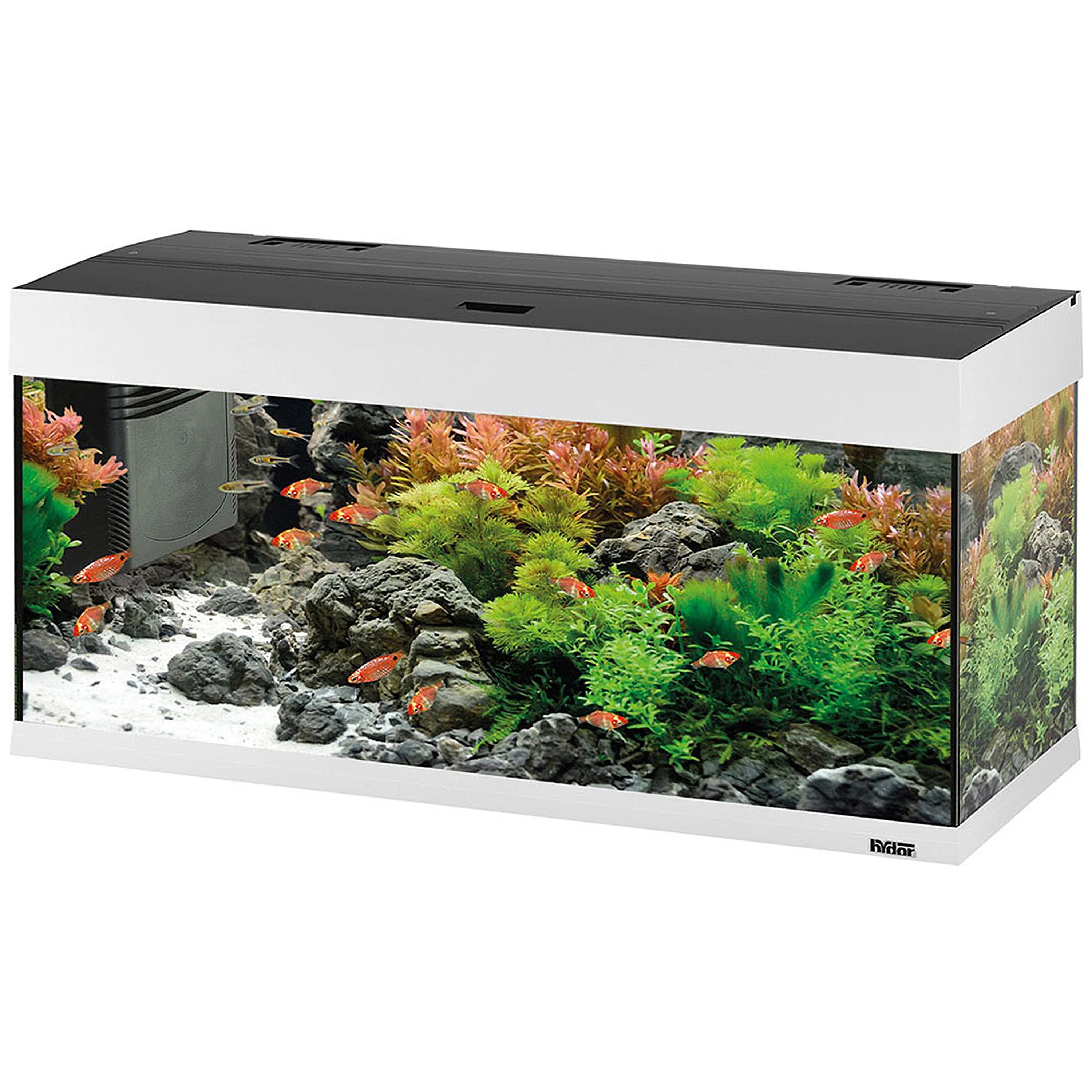 Image du produit 12