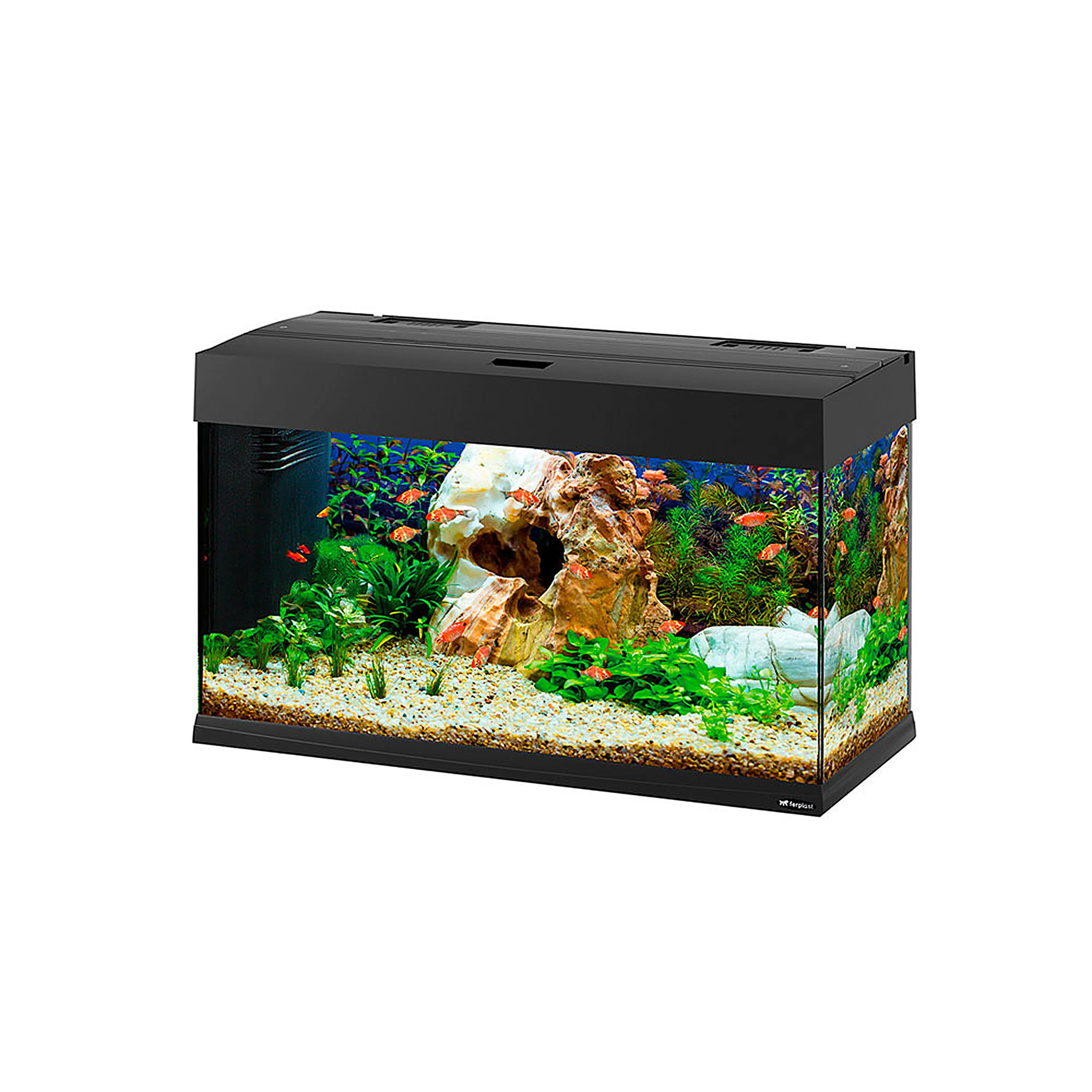 Image du produit 12