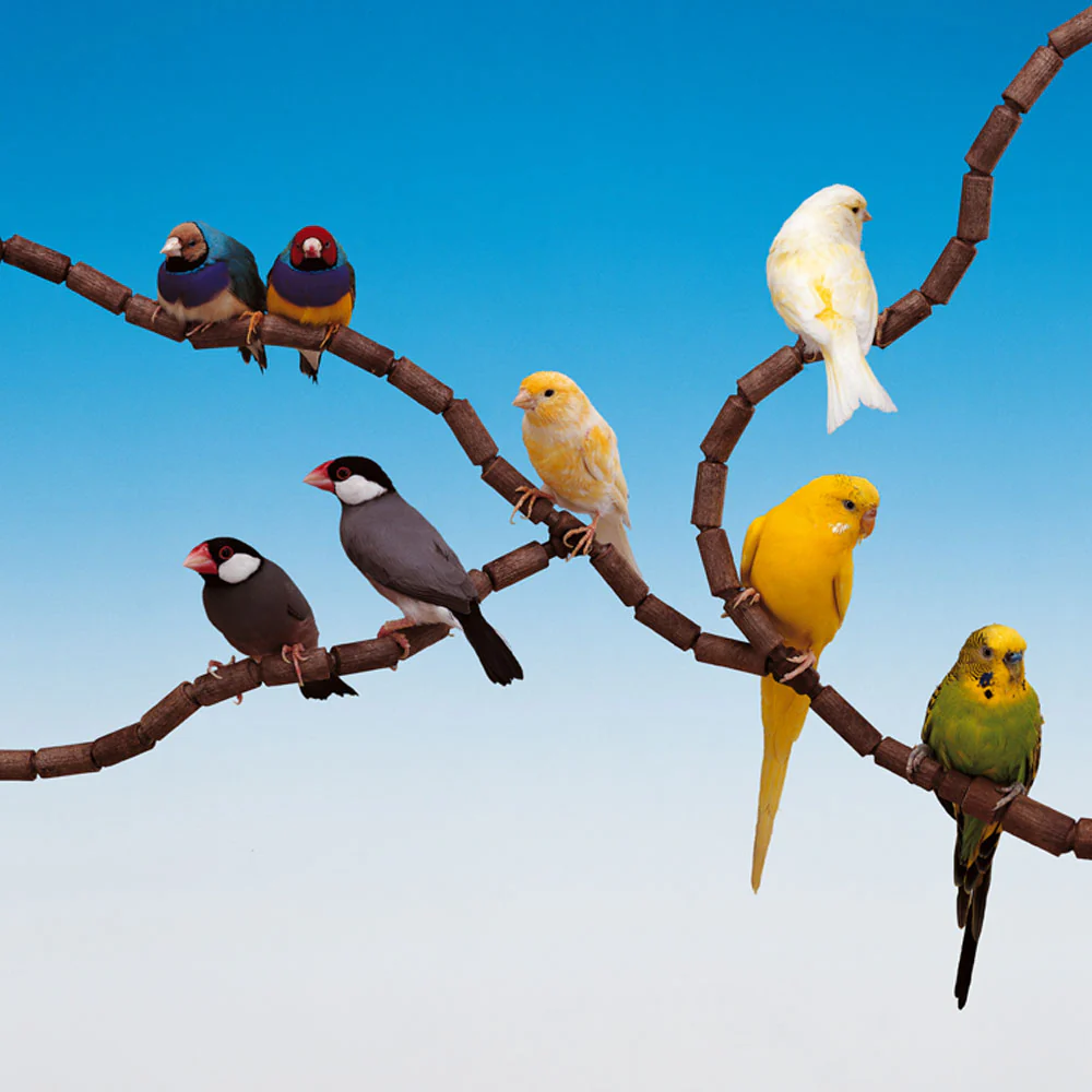 Miniature 2