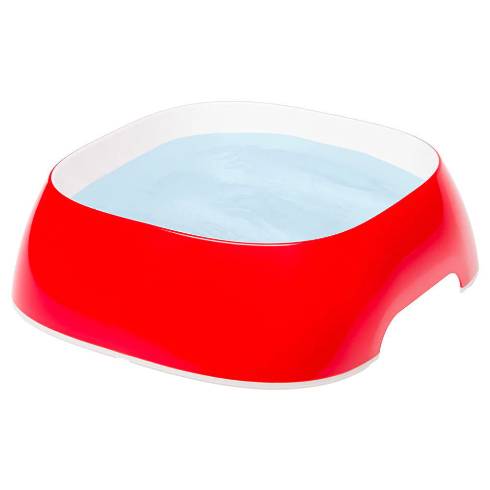Image du produit 11
