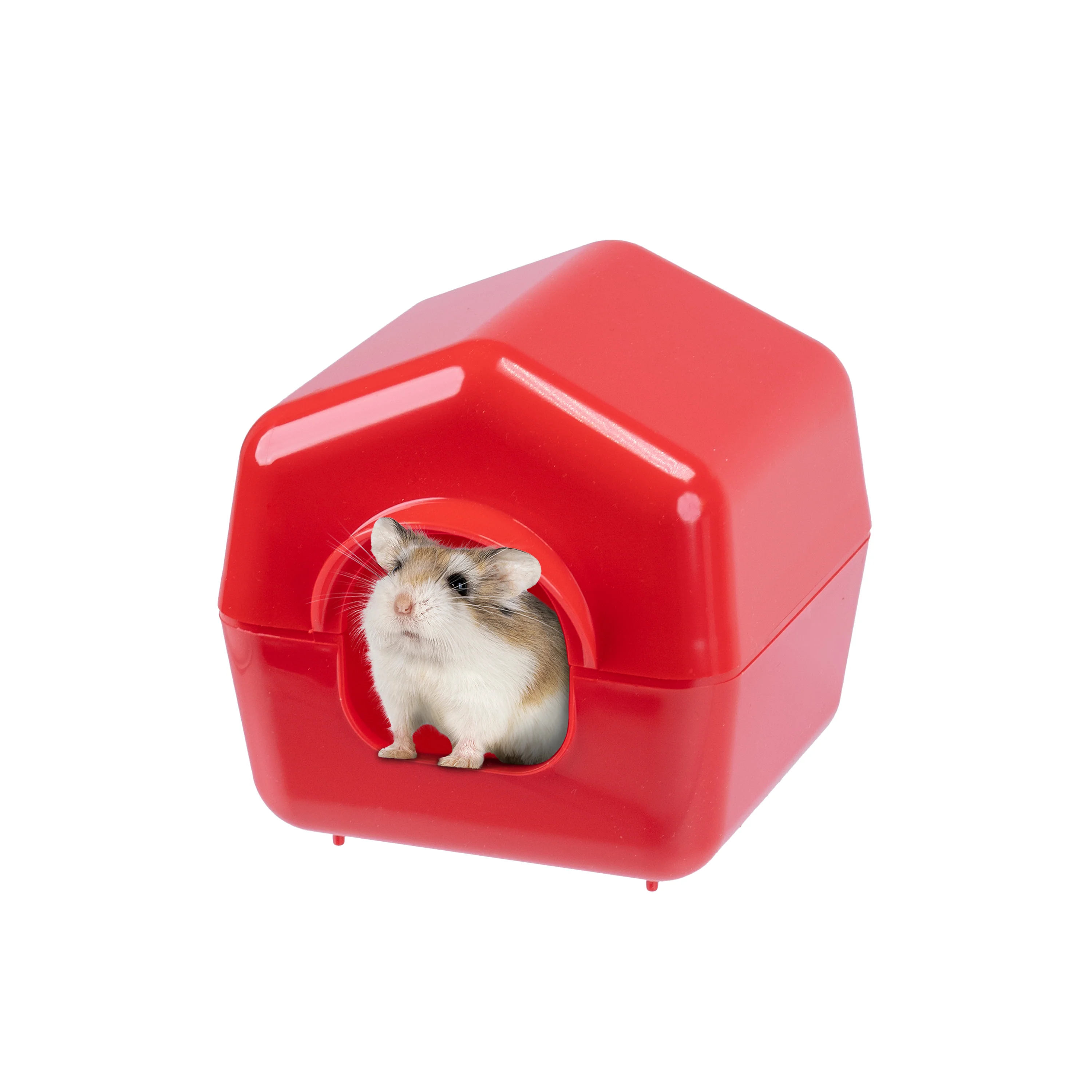 Image du produit 6