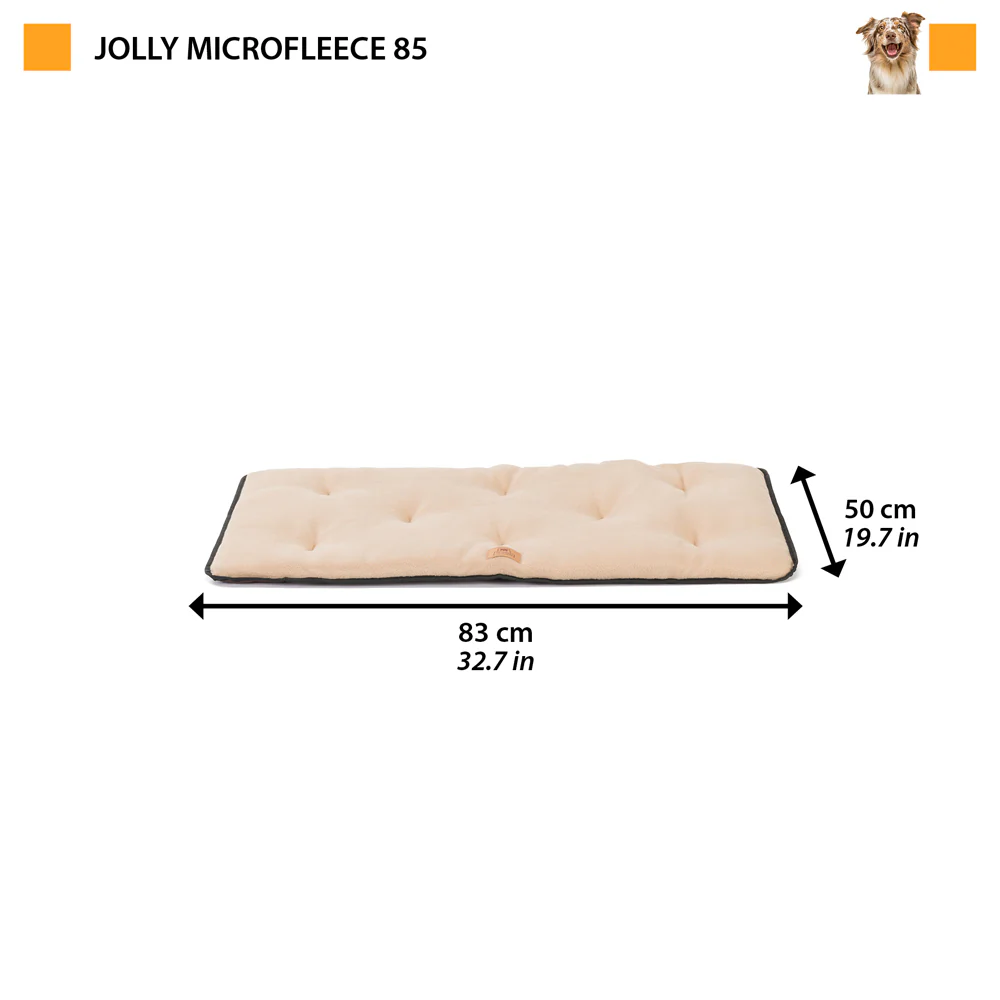 Image du produit 15