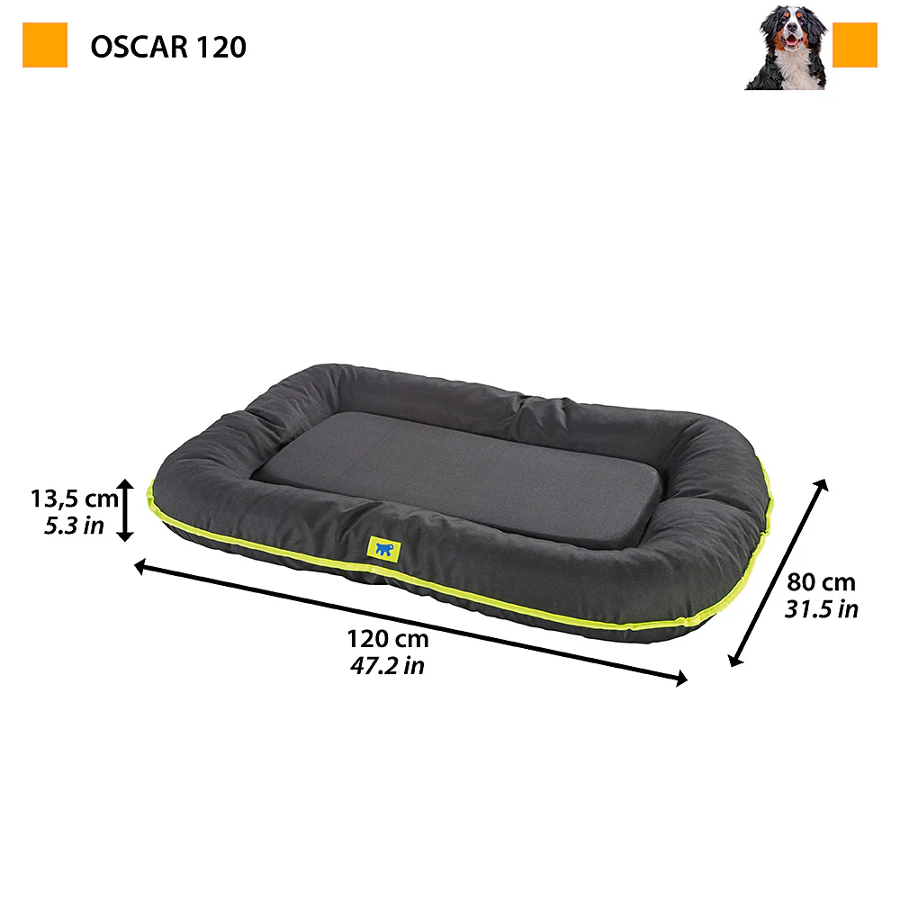Image du produit 31