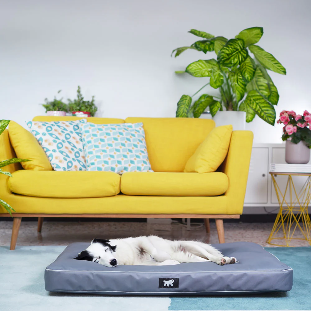 Image du produit 38
