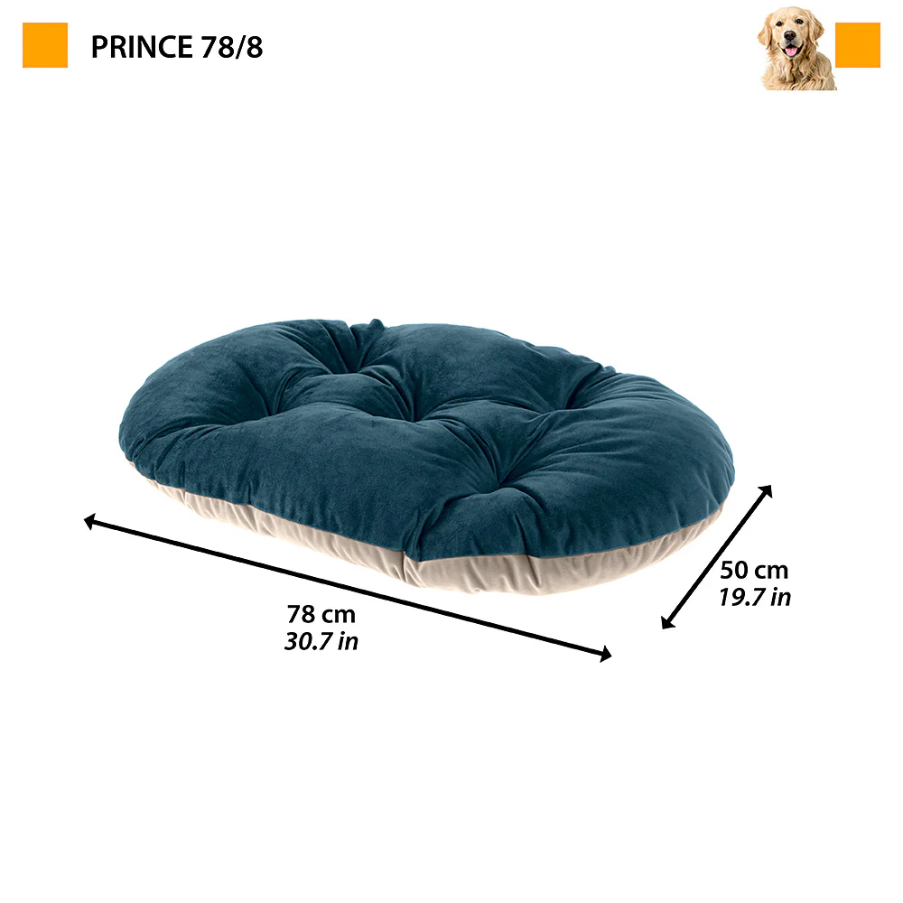 Image du produit 10