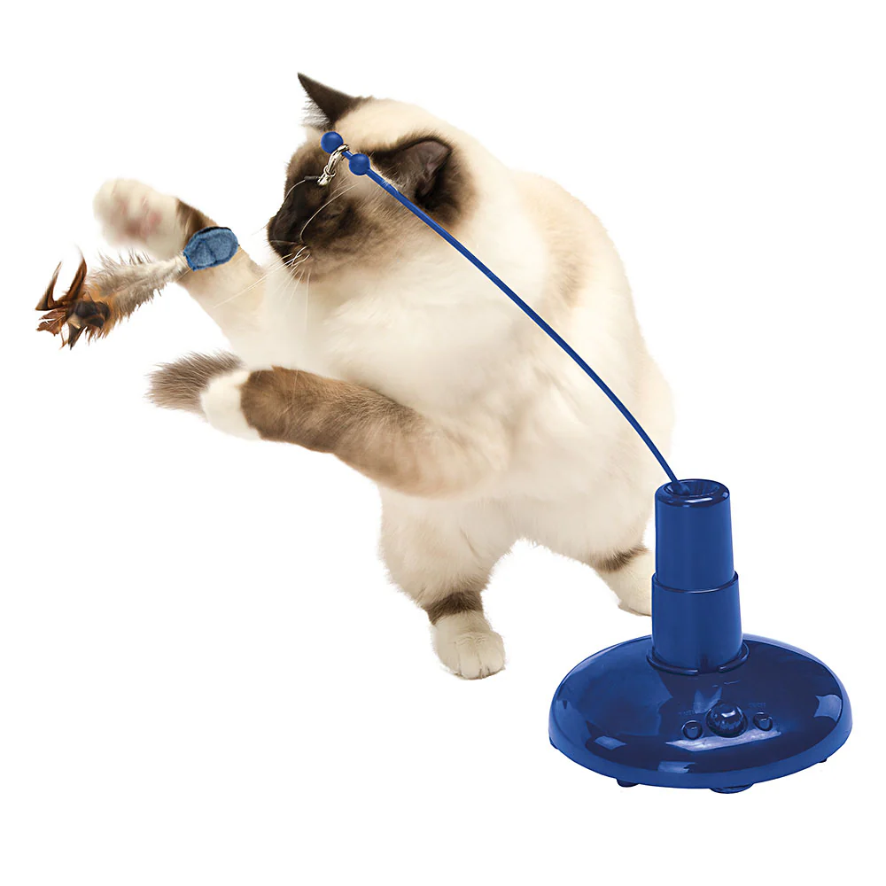 Image du produit 5