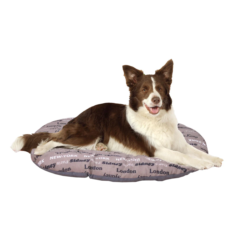 Image du produit 28