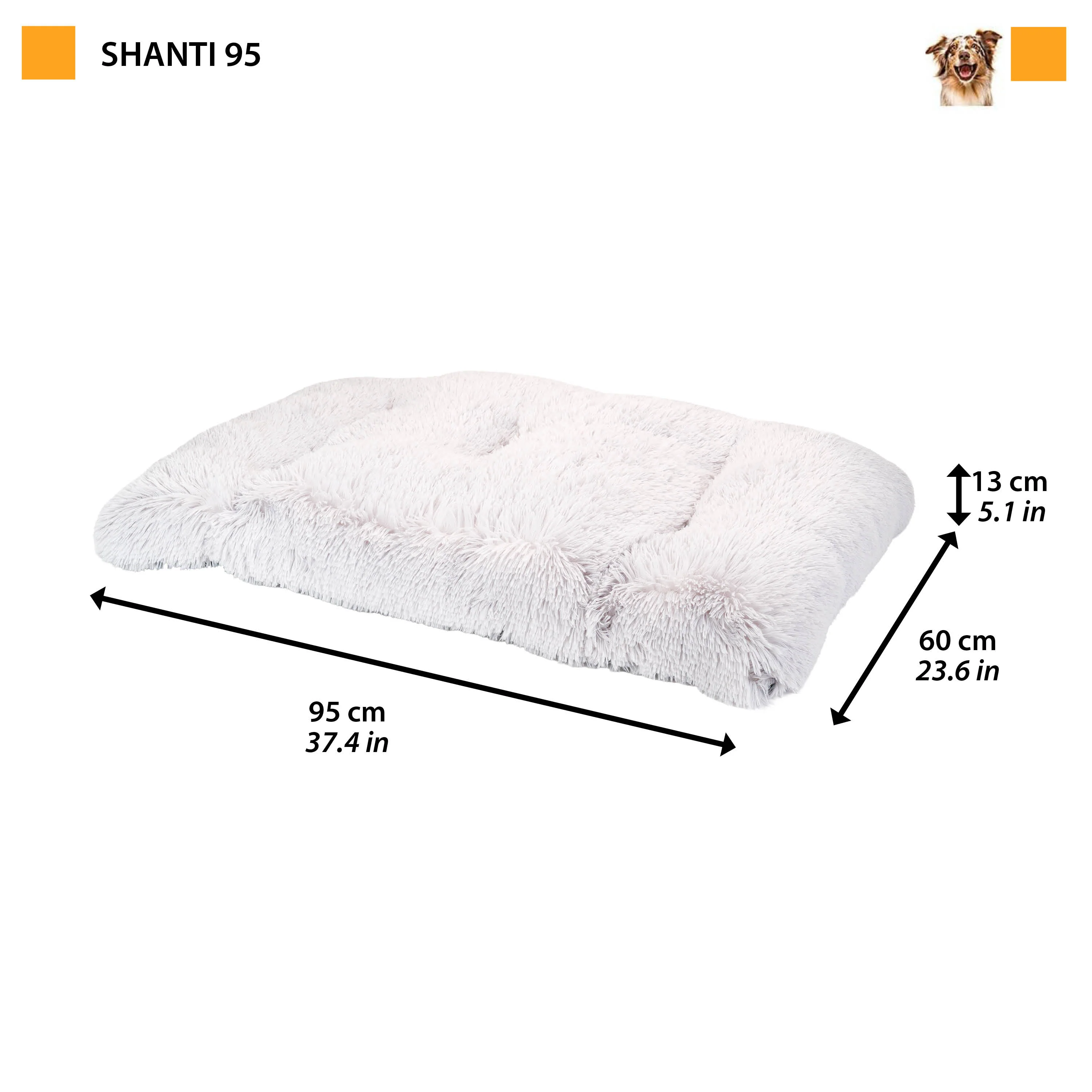 Image du produit 13