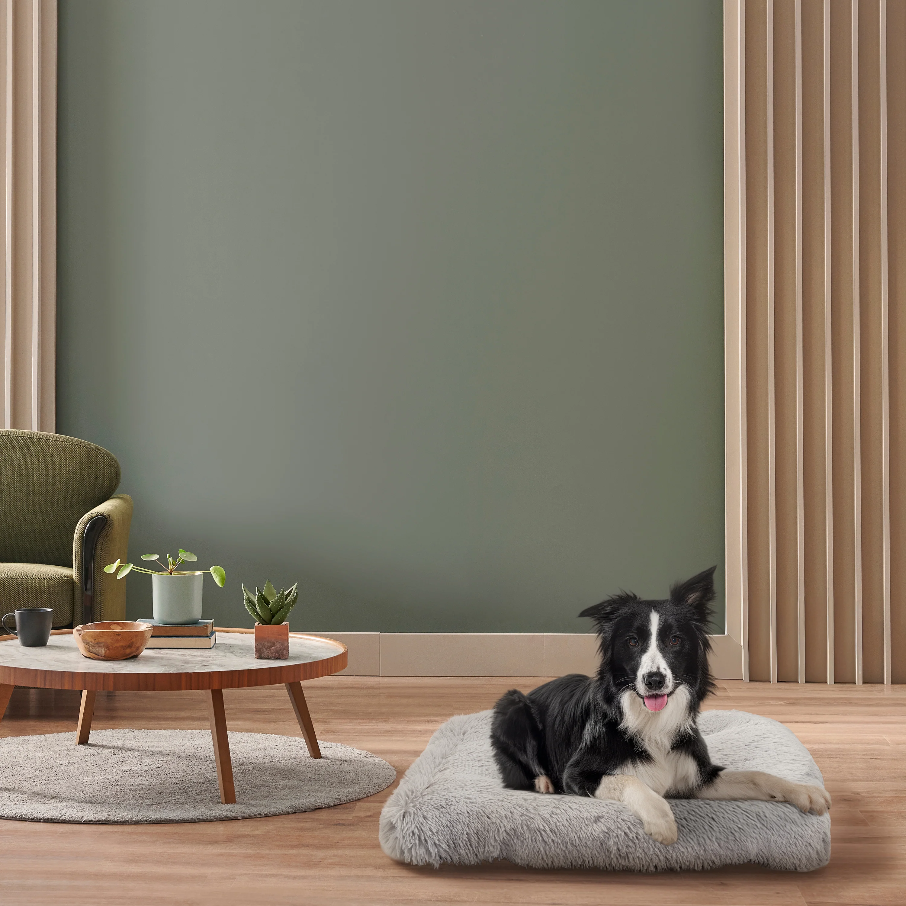 Image du produit 14