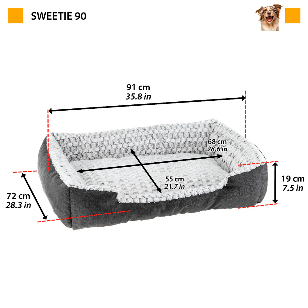 Image du produit 21