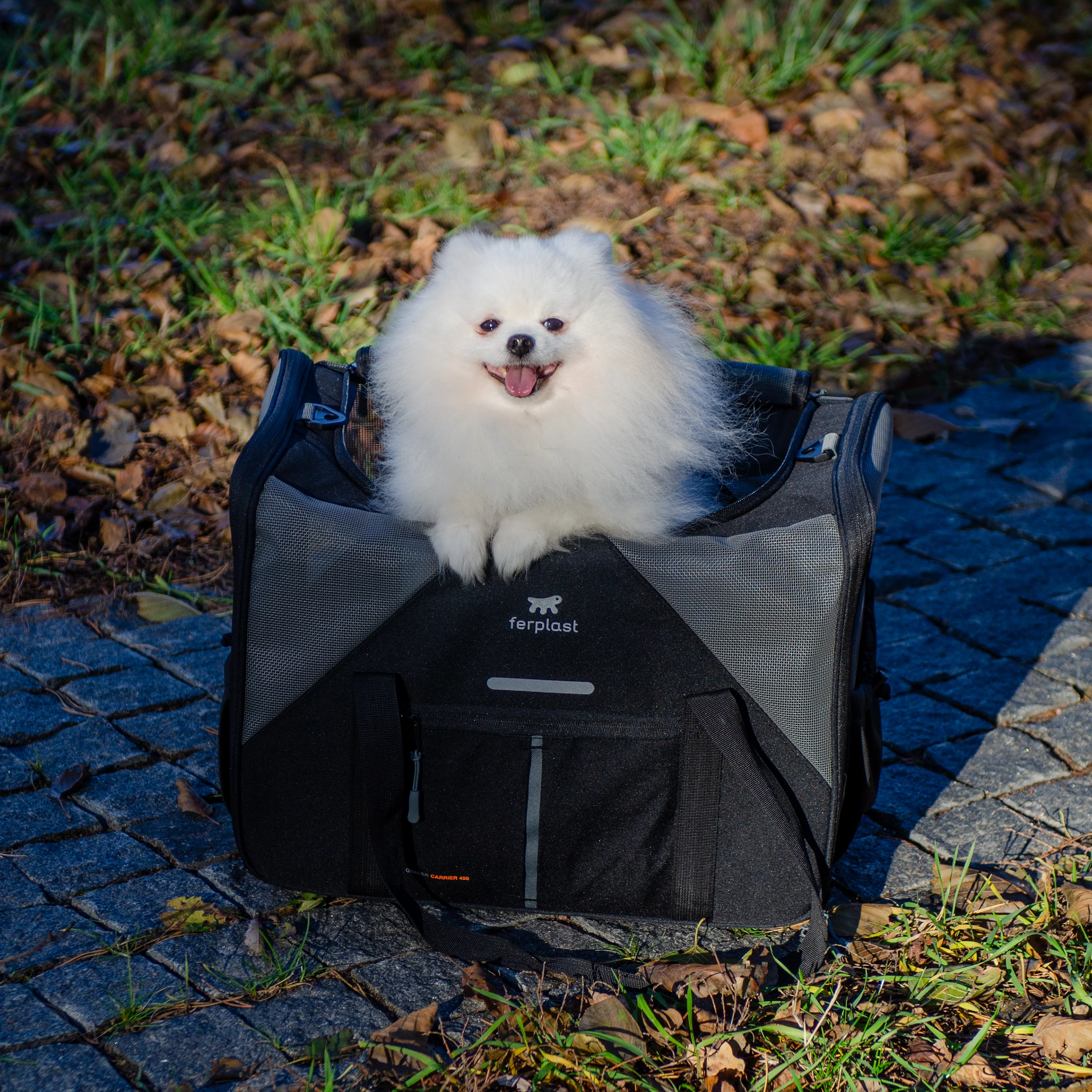 Image du produit 25